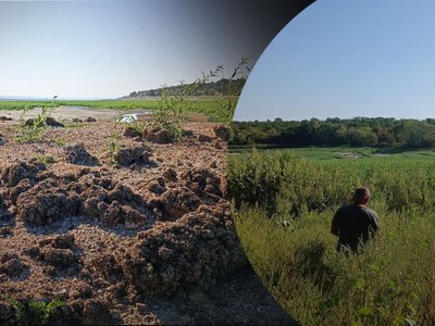 На дні Каховського водосховища сталося те, чого не очікували вчені