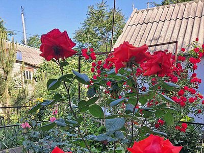 Синоптики розповіли, якою буде погода у Миколаєві та області 30 липня