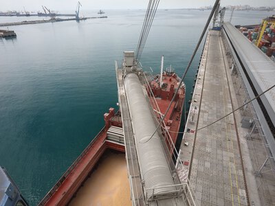 Три найбільші зернові термінали Росії на Чорному морі обмежили приймання зерна