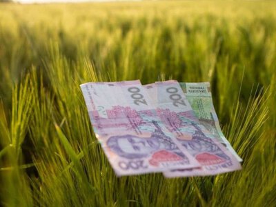 Прилісненська громада здає в оренду п’ять земельних ділянок біля озера