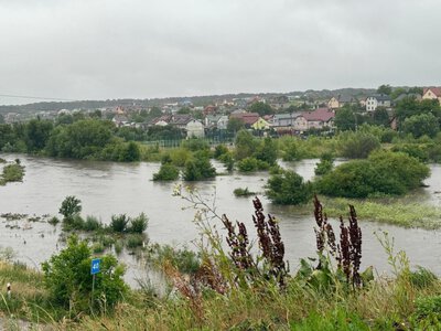 Якою є якість води в річках на Львівщині: результати перевірки