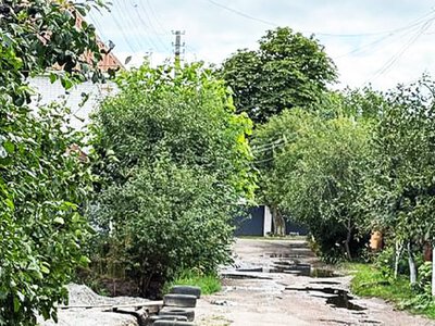 «Зелені тунелі» приватного сектору: окраса міста чи небезпека? 