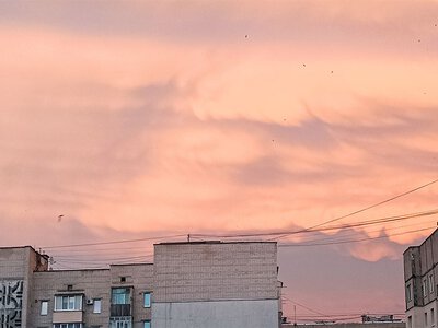 Синоптики попереджають про сильну спеку на Вінниччині