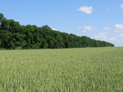 Японія допоможе Україні створити мережу лабораторій для аналізу ґрунтів після розмінування