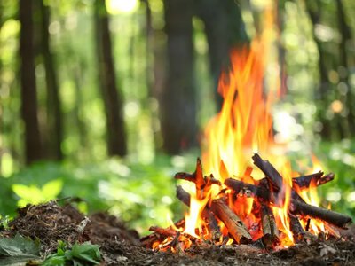 У Києві оголосили надзвичайну пожежну небезпеку: які штрафи загрожують порушникам
