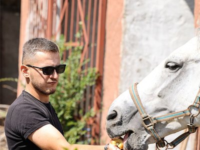 У Миколаєві для поранених правоохоронців провели терапію з кіньми