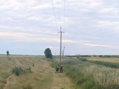 На Сарненщині проводять капітальний ремонт електромереж
