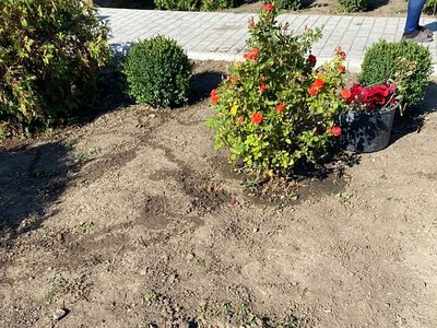 На Миколаївщині невідомі викопали квіти та пошкодили майно на дитячому майданчику