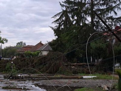  У Берегівській громаді триває обстеження пошкоджень після буревію 