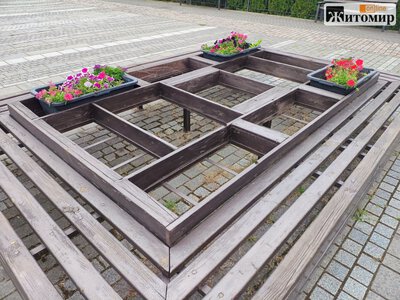В одній з громад Житомирського району невідомі викрали квітник біля будівлі селищної ради