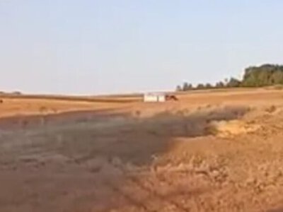 Польща розслідує падіння невстановленого об'єкта після нічної атаки рф на Україну: Туск скликав координаційну раду