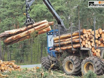 Зберігав незаконно зрубаний ліс: підприємець з Житомирщини перерахував 35 тис. грн на ЗСУ та чекає суду