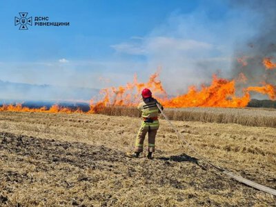 У Рівненському районі вогонь охопив 10 га сухостою та знищив 2 га пшениці