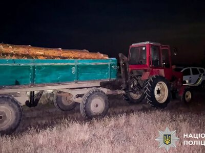 На Володимиреччині викрили двох чоловіків, які незаконно рубали та перевозили сосну