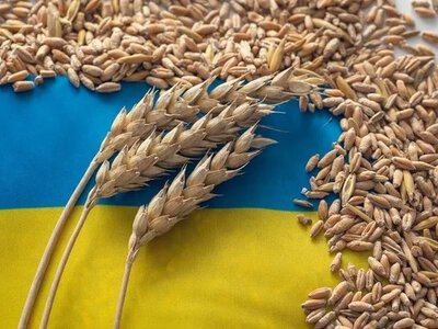 Експорт пшениці в умовах блокування портів: виклики для АПК