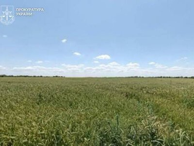 На Миколаївщині за втручання прокуратури розірвано договір оренди землі із недобросовісним орендарем