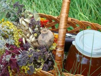  Маковій – свято меду, маку та квітів 