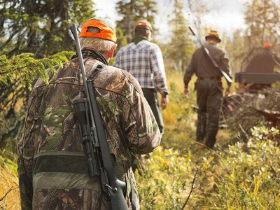 Нардепи з Рівненщини пропонують дозволити полювання у сезон тиші