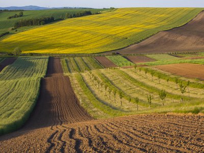 Чигиринській громаді повернули 1,7 га земель, які були незаконно передані в оренду