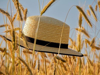 Антициклон закріпився над Україною: чим здивує погода в останній день липня