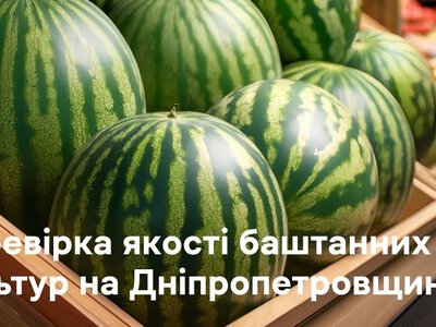 Норми нітратів у кавунах та динях: як перевіряють якість баштанних культур на Дніпропетровщині