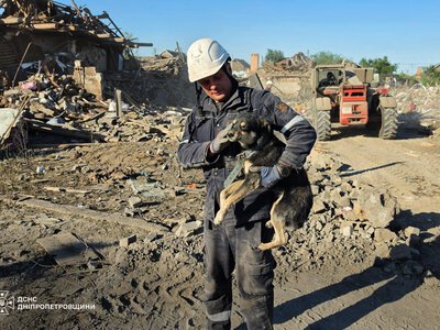 Життя не має винятків: у ДСНС показали зворушливі кадри порятунку тварин після обстрілів