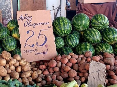 Цены на арбузы и дыни: Сколько стоят бахчевые в Харьковской области