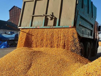 Аграріїв турбує ринок, а не погода