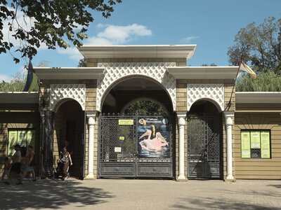 Скандал навколо Одеського зоопарку: в якому стані тварини