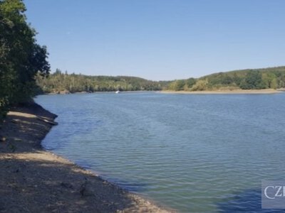 На водосховищі у Чехії рятувальники мали близько 80 виїздів — часто через ос у напоях