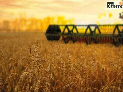 Аграрії Житомирщини намолотили 111,5 тис. тонн ранніх зернових — результат кращий за минулорічний