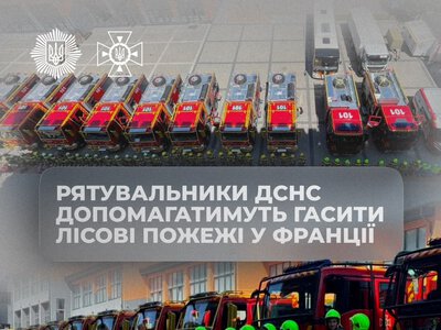 Україна відправила рятувальників ДСНС для гасіння лісових пожеж у Франції. У разі потреби залучать ще й авіацію