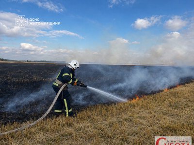 У двох районах Житомирщини за добу сталося 11 пожеж сухостою — ДСНС гасила їх від ранку до вечора
