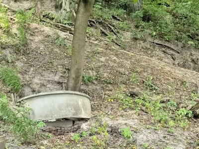 Воду зі Святого джерела визнали непридатною