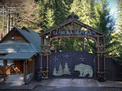 Депутата зі Сваляви звинуватили у махінаціях із лісом під дачу Медведчука