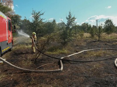 У Голосіївському районі Києва через атаку російського БпЛА вигоріло 1200 кв. м сухої трави - ДСНС