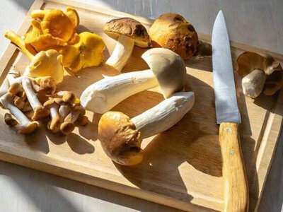 Як правильно варити гриби, щоб вони були безпечними для здоровʼя