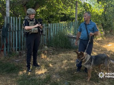 Залишатися вже було неможливо: з прифронтових сіл на Запоріжжі евакуювали людей разом з вівчаркою та цуценятами