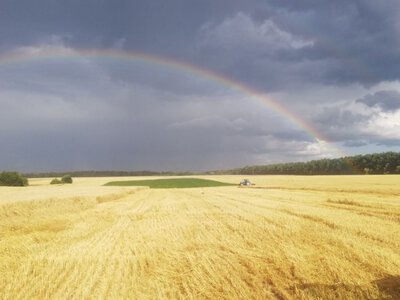 Антициклон утримає спеку: прогноз погоди в Україні на 1-2 серпня