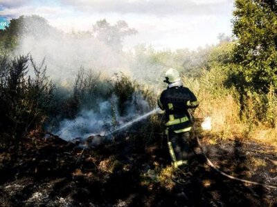 На Київщині під час пожежі в екосистемі загинув чоловік, ще одна жінка дістала опіки (ФОТО)