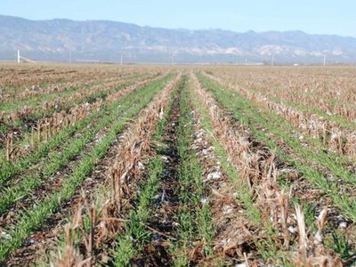 Як сформувати парк техніки для технології no-till