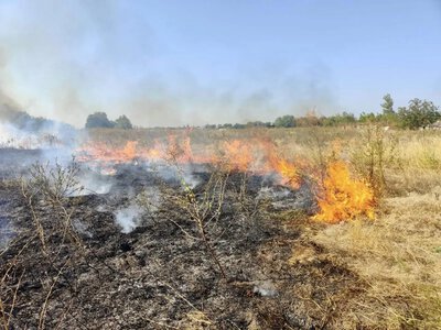 Понад 2,7 гектара вигоріло: на Рівненщині зафіксували вісім пожеж на відкритих територіях
