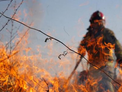 За добу в екосистемах Рівненщини сталося вісім пожеж