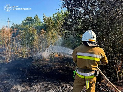 Горіло поле льону, ліс та вантажівка: за добу на Миколаївщині сталося 32 пожежі, вогонь охопив понад 43 гектари
