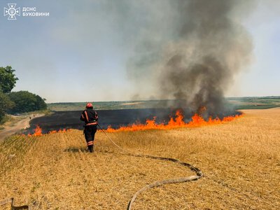 За добу на Буковині сталося дев’ять пожеж: двоє людей травмувалися, вигоріло майже два гектари сухостою