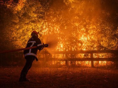 У Франції і Греції продовжують вирувати масштабні лісові пожежі