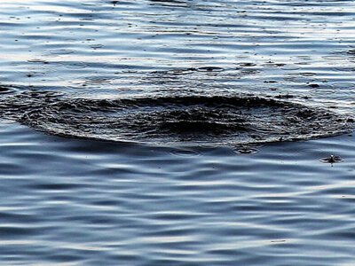 Ввечері у сусідньому районі сталася трагедія на водоймі
