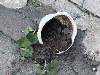 Мешканка Баштанки побила квіткові горщики біля під'їзду та стала «зіркою»: її зняла камера (відео)