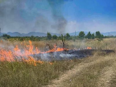 На Закарпатті попереджають про надзвичайний рівень пожежної небезпеки