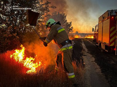 Миколаївщина палає – за минулу добу ліквідовано 45 пожеж, на одній з них загинув чоловік (ФОТО)